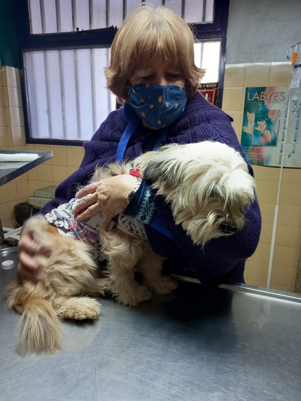 Atención veterinaria en Veterinaria Ituzaingó